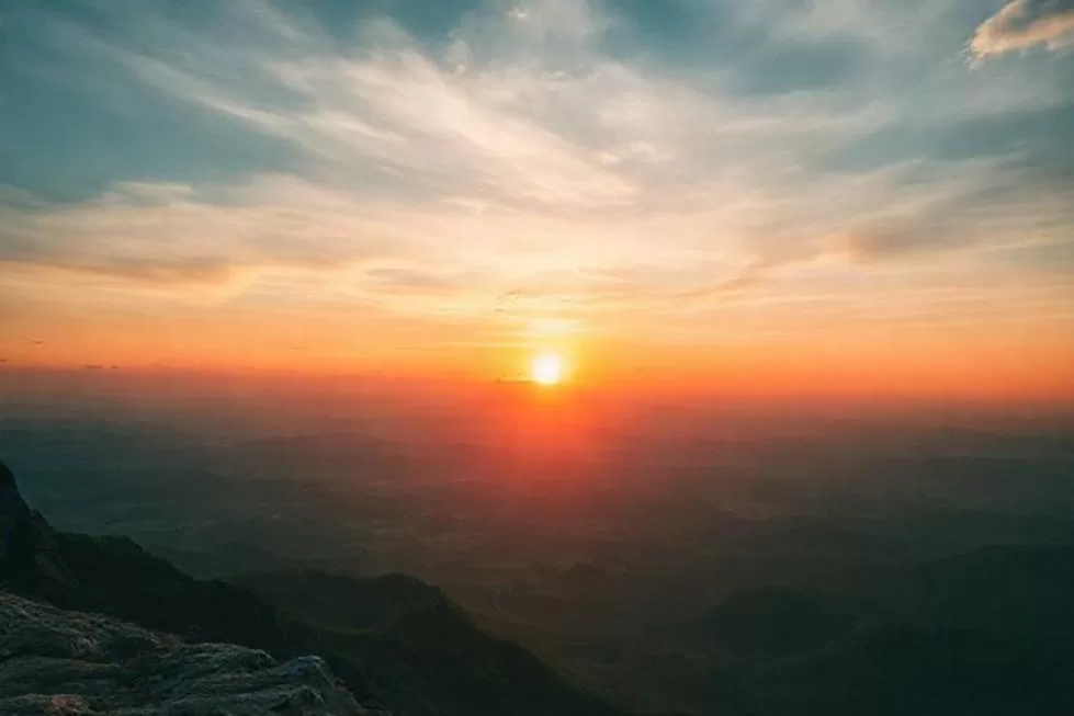 Design Inteligente: A Maravilha da Criação e Seus Segredos