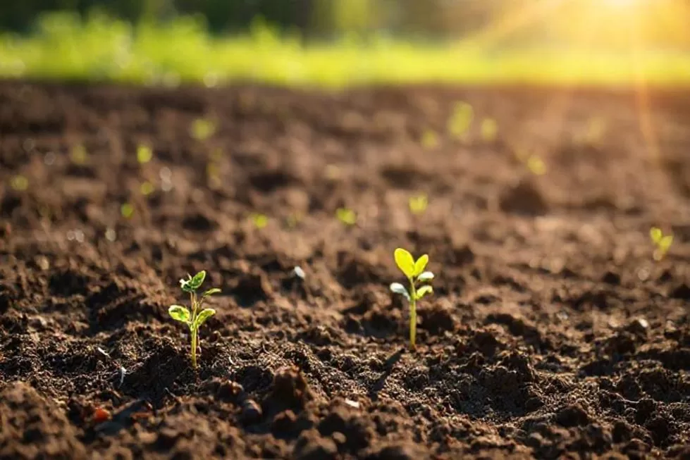 Compreendendo o Solo Espiritual e Seu Impacto