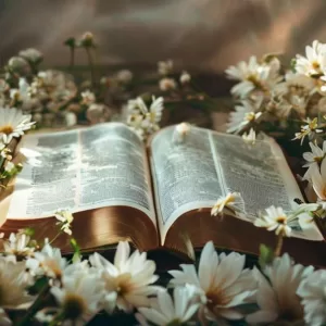 7 Promessas de Deus para Aliviar Sua Ansiedade